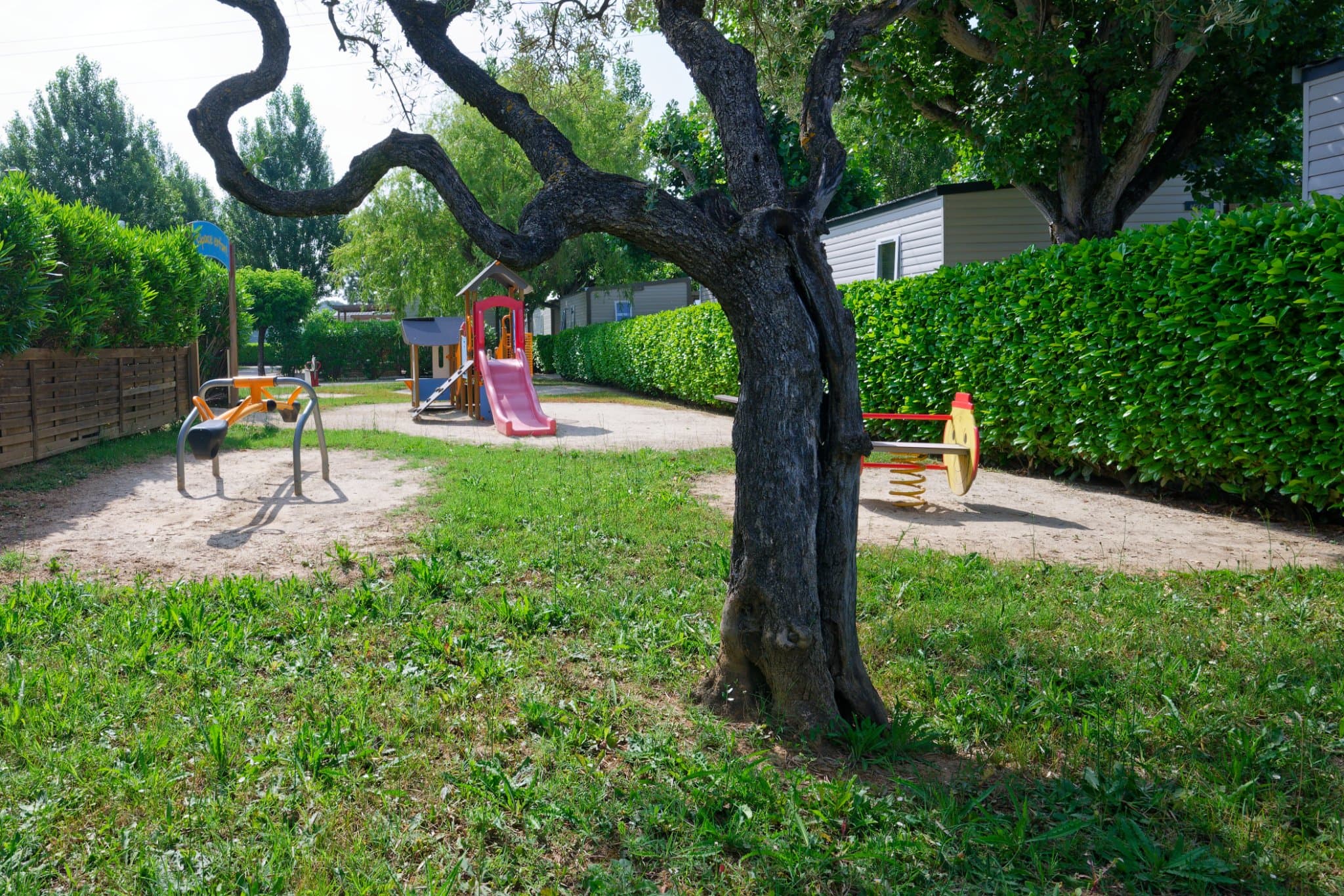 Camping Paradis Les Amarines — photo 4