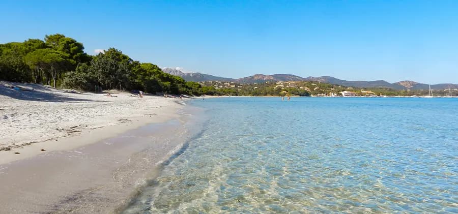 Camping La Vetta — Camping vanlife à Borgo, Corse