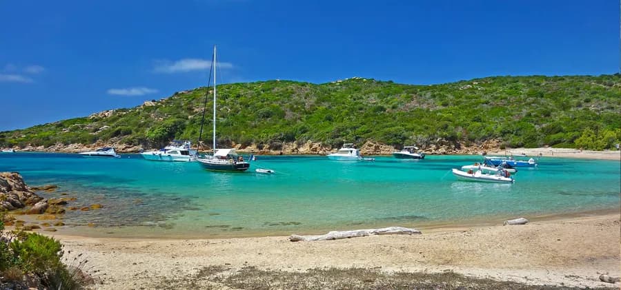 Camping Olva — Camping vanlife à Vizzavona, Corse